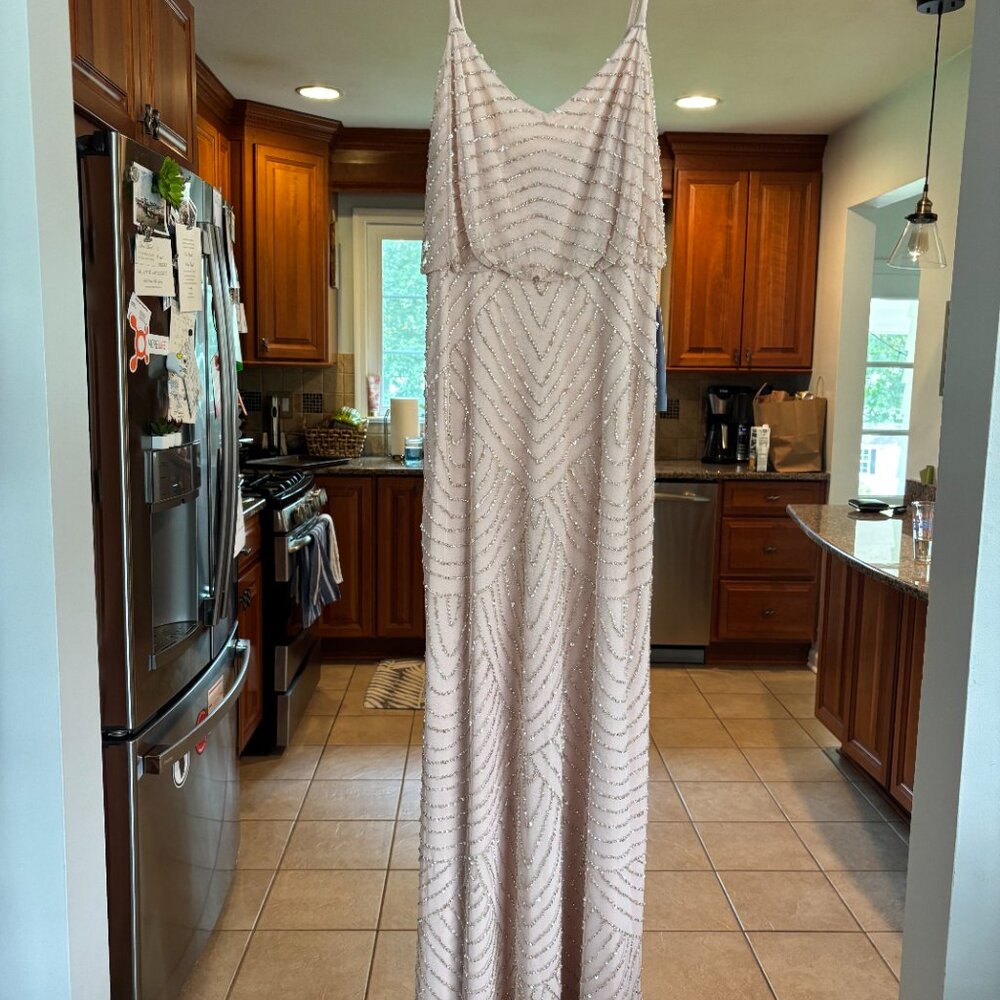 Adrianna Papell Long Blouson Dress-Blush Size 6 - Picture 2 of 6
